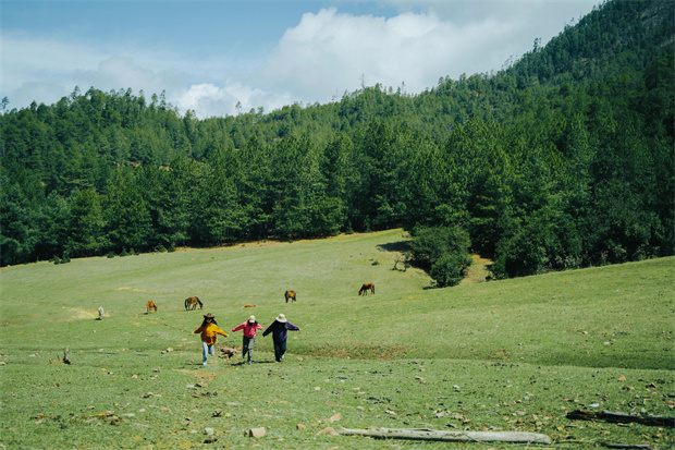 云南旅游,云南旅行社,云南團(tuán)建公司,云南策劃公司,云南會(huì)議會(huì)展,云南旅游地接,怒江旅游,怒江旅行社,怒江團(tuán)建公司,怒江策劃公司：“被羅古箐的山野擁抱、滌凈，再神清氣爽地回去”